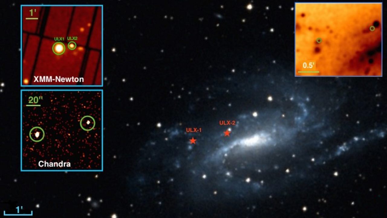 Ультраяркие рентгеновские источники звезды. Звезда Zeta Leonis фото. ULX.