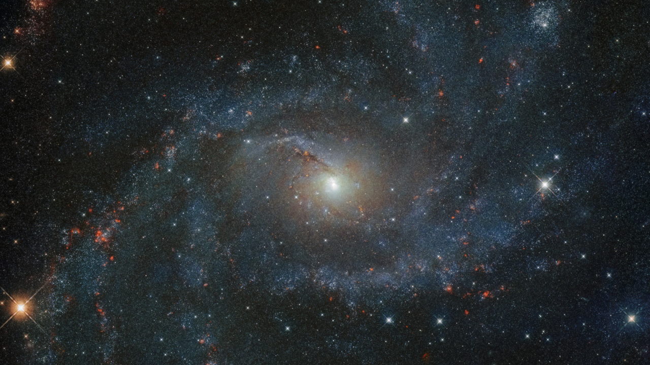 Галактика NGC 6946